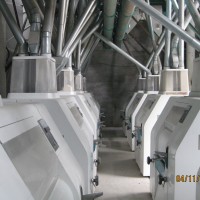 100T/24H Wheat Flour Mill Machine
