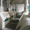200t/24h Wheat Flour Milling Plant