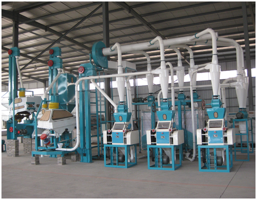 Maize Flour Milling Plant